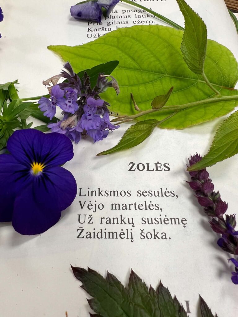 Lauko gėlės ir žolynai šalia eilėraščio apie žoles